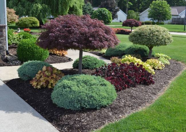 A finished front yard with flowering beds